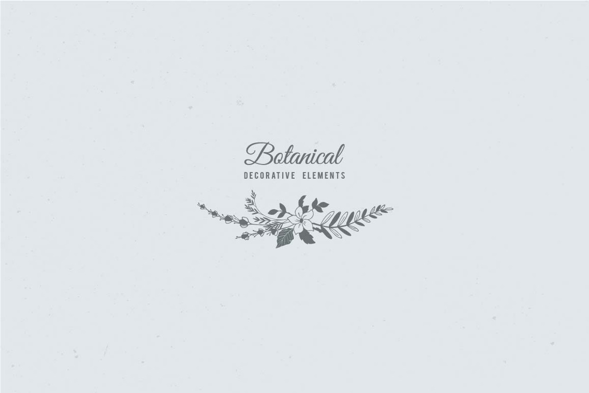 Botanical Decorative Elements, a Decorative Illustration by Solana (Photo 2 of 6)