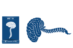 Stylized Spine and Brain Graphic, a Healthcare Illustration by CarWrap design
