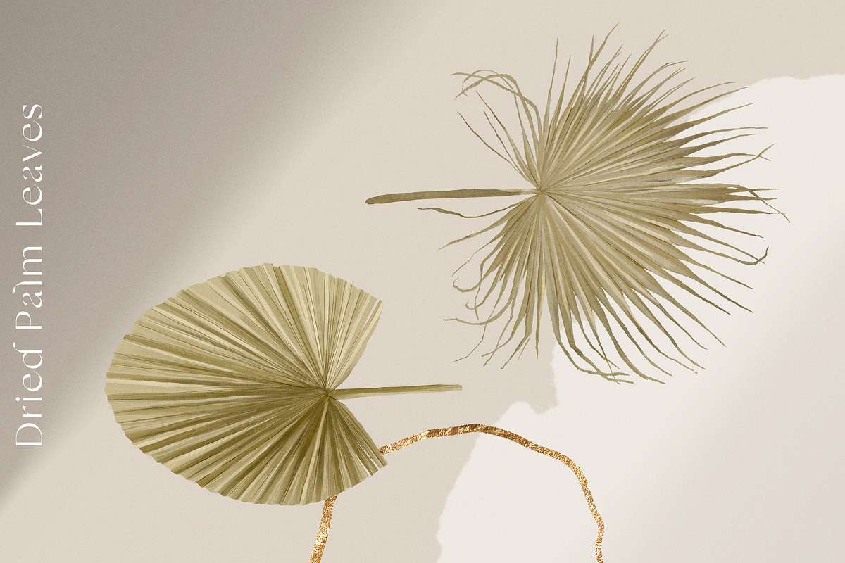 Modern Abstract Line Art & Shape Set, an Illustration by January Bloom (Photo 5 of 18)