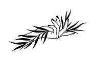 Hand Plant Growth Bundle, an Illustration by yasushie (Thumbnail 21 of 31)