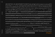 TT Wellingtons, a Sans Serif Font by TypeType (Thumbnail 13 of 15)