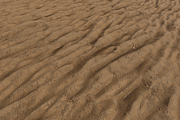 Wet Sand A (Tileable), a Textures & Material 3D Model by Fiat Lux (Thumbnail 2 of 3)