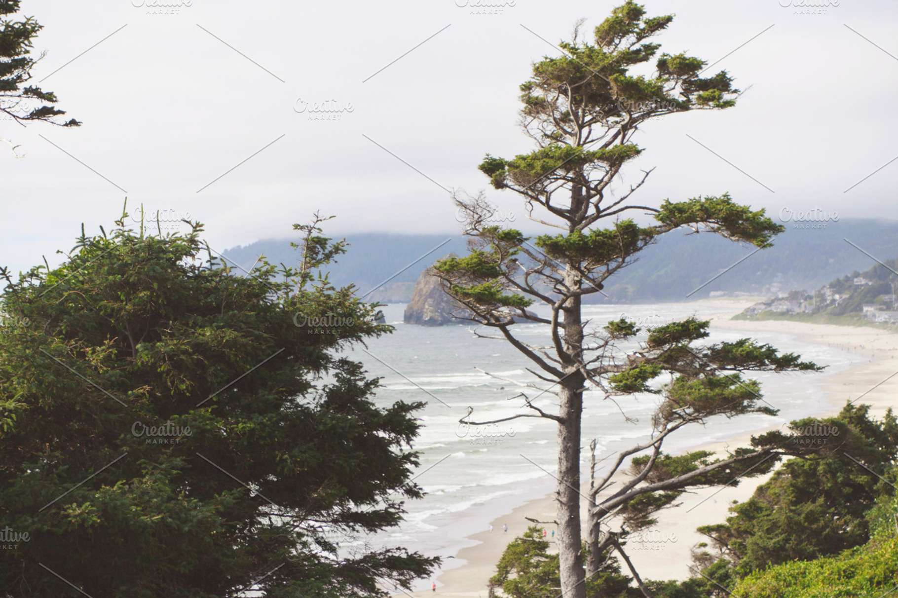 Oregon Coast Stock Photo