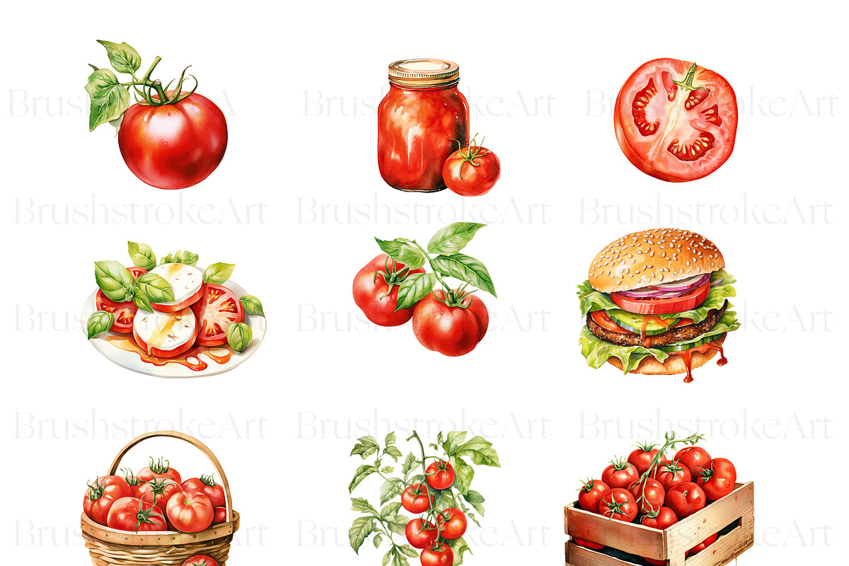 Watercolor Tomato Clipart, Vegetable, a Food Illustration by BrushstrokeArtGB (Photo 4 of 9)