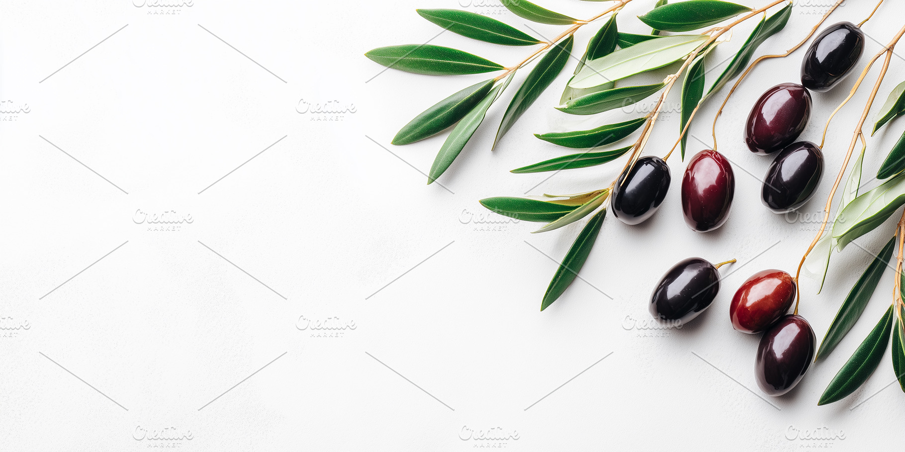 Black and purple olives with leaves, a Food & Drink Photo by MistyDay
