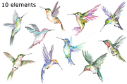 Hummingbird watercolor clipart, a Background Graphic by GoodFairyClipArt (Thumbnail 2 of 2)