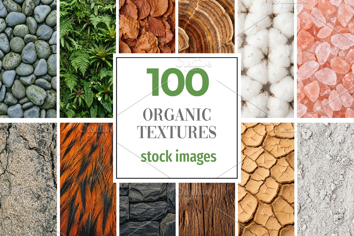100 Organic Nature Texture, a Background Photo by Selenique Studio (Photo 1 of 10)