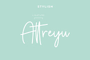 Autumn Fairy Signature Monoline Font, a Script Font by Giant Design (Thumbnail 3 of 10)