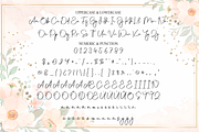 Hailey | Script Font, a Handwritten Font by Scratchones (Thumbnail 7 of 9)