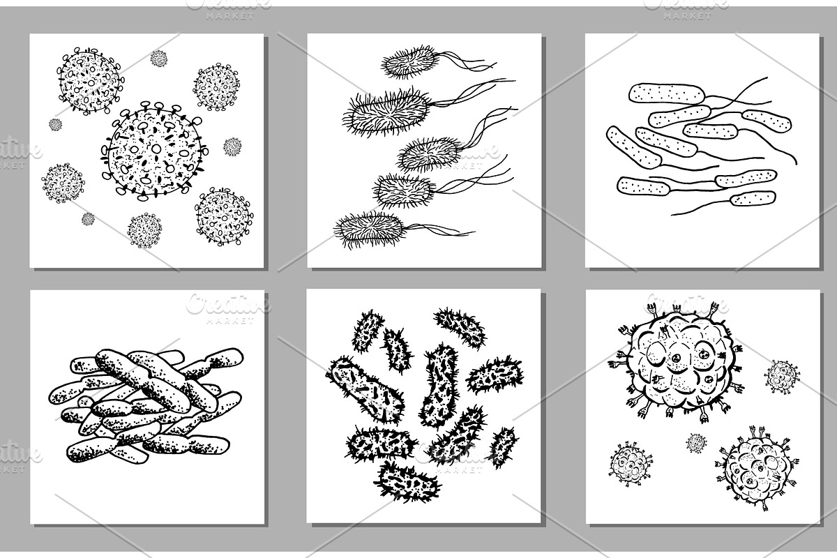 Vector Set of black sketch bacteria, an Object Graphic by Wittmann