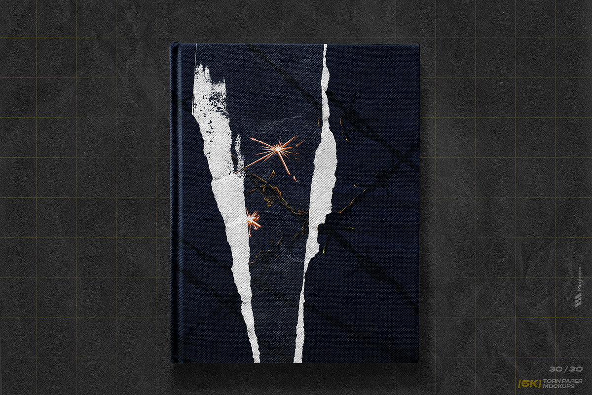 [6K] Torn Paper Mockups, a Texture Graphic by Meglenov (Photo 16 of 16)