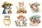 Tropical Beach Cat PNG, an Illustration by SinaCreation (Thumbnail 3 of 5)