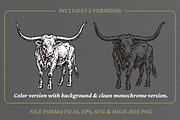 Vintage Longhorn Bull Illustration, an Animal Illustration by lettett (Thumbnail 2 of 3)