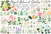 Vintage Clipart Botanical Sketches, an Illustration by Sublimation Artist (Thumbnail 1 of 6)