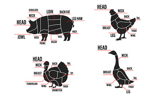 Meat cuts set. Diagrams Scheme
