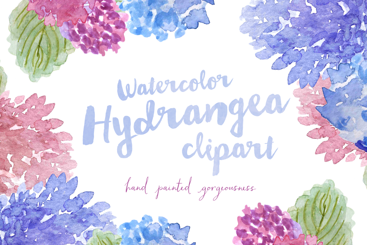 Watercolor Hydrangea Clipart, an Illustration by Emerald & Ivy Studios (Photo 1 of 4)