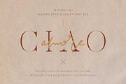 Marseille & Amsterdam Font Duo, a Serif Font by SilverStag Type Foundry (Thumbnail 6 of 19)