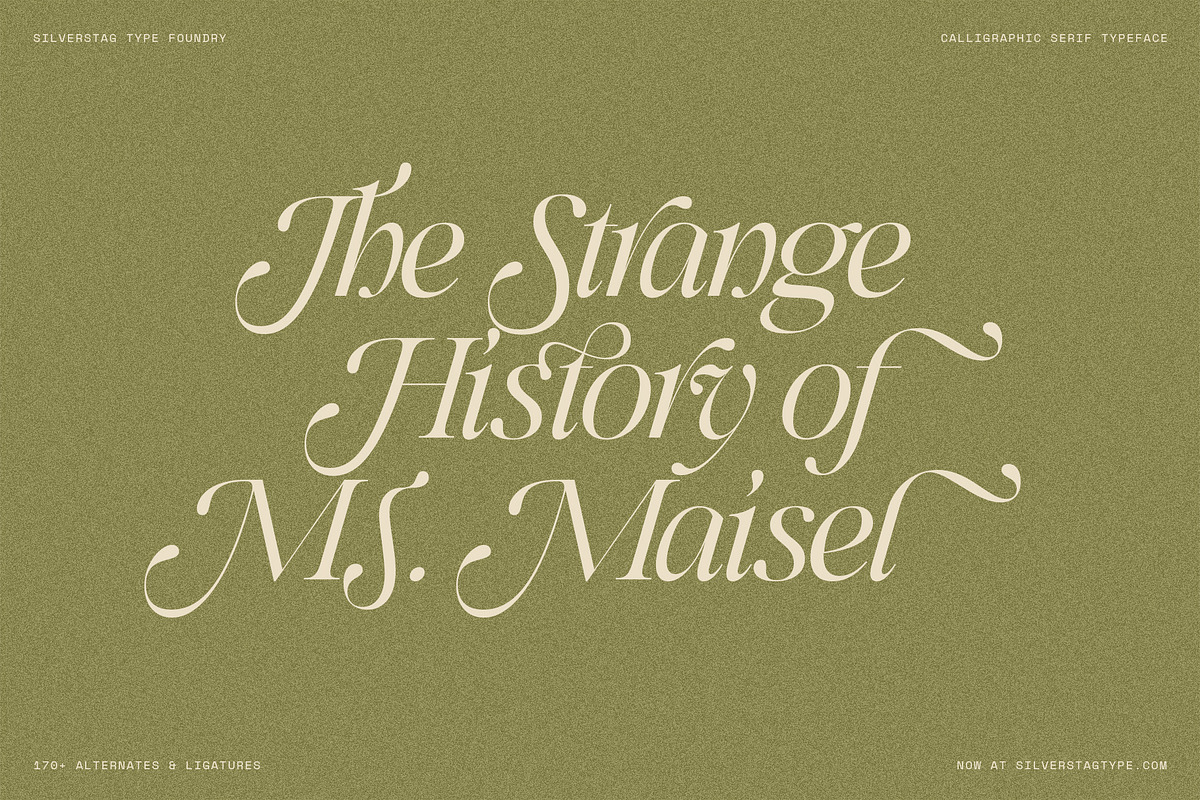 Netsera Calligraphic Serif Typeface, a Serif Font by SilverStag Type Foundry (Photo 11 of 30)