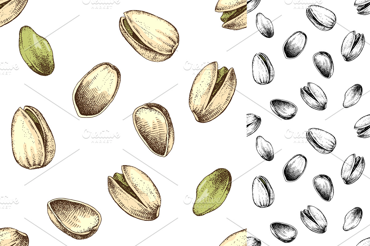Hard nut graphic design set, a Food Illustration by handsketched (Photo 13 of 18)