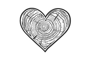 Heart Wooden Texture Sketch Vector