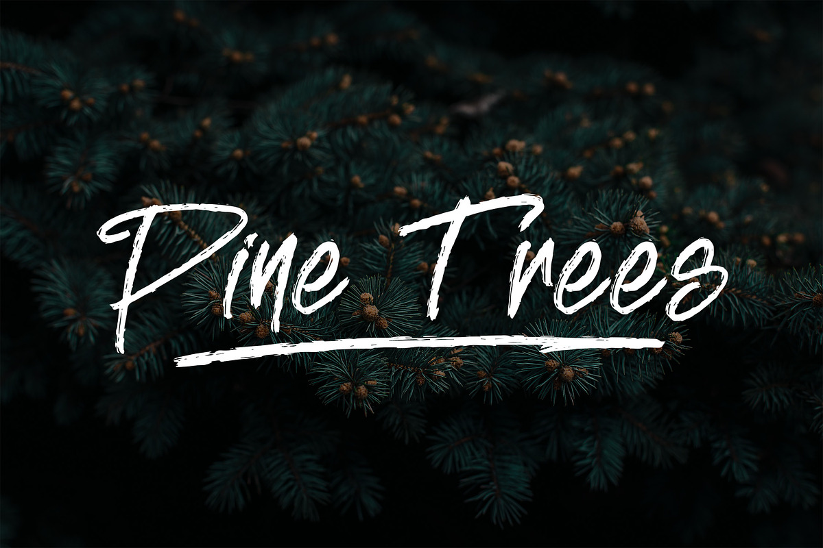 BREAKING RULE - Rough Brush Font, a Script Font by NTC Graphic (Photo 2 of 9)