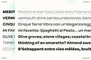 Pampero | Modern Display & Text Sans, a Sans Serif Font by Antipixel Type Studio (Thumbnail 7 of 16)