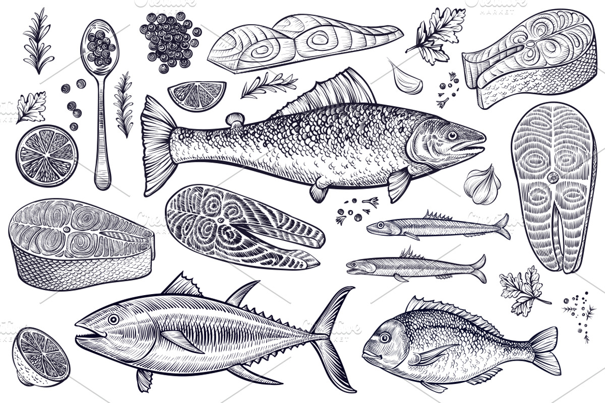 Salmon & Fish vector sketch, a Food Illustration by Aquatinta (Photo 2 of 13)