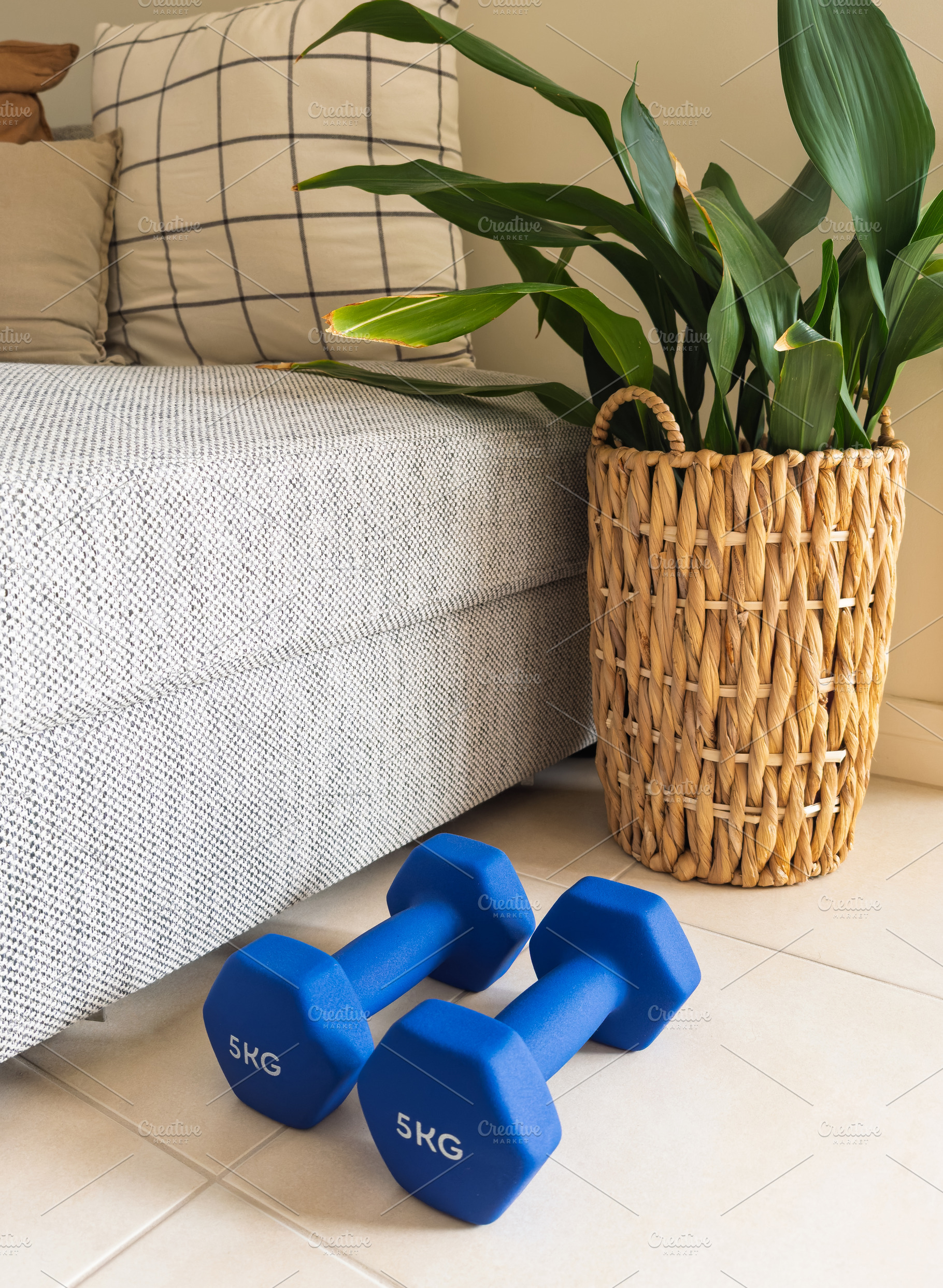 Dumbbells Home Workout Concept, a Health & Medical Photo by THP Creative