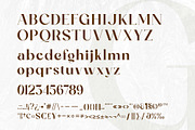 Ozilic, a Serif Font by Ardyanatypes (Thumbnail 11 of 12)