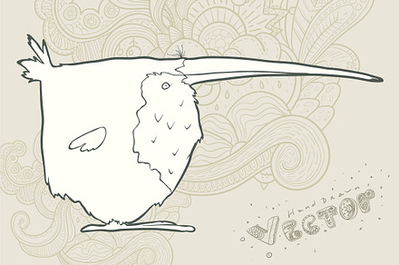 Hand drawn vector cartoon bird