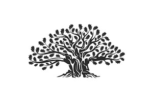 Isolated vector oak tree illustratio
