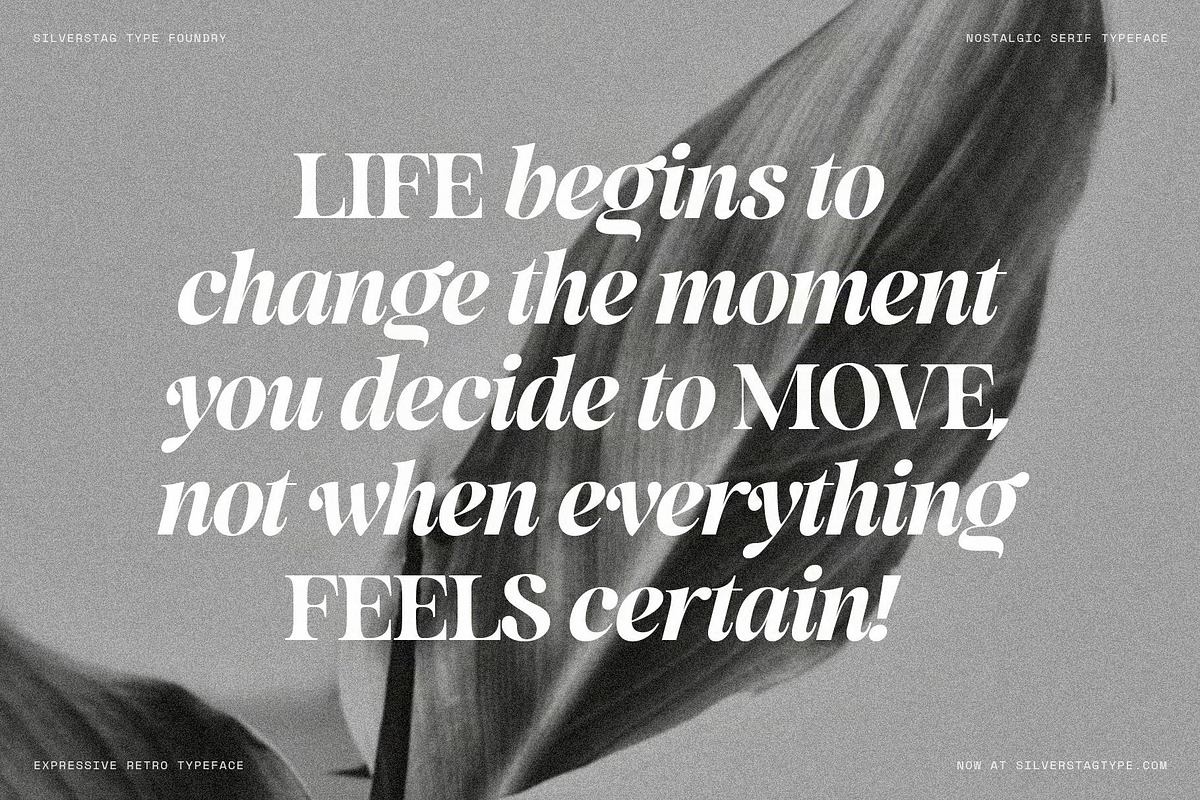 La Mystere - Editorial Serif Font, a Serif Font by SilverStag Type Foundry (Photo 14 of 30)