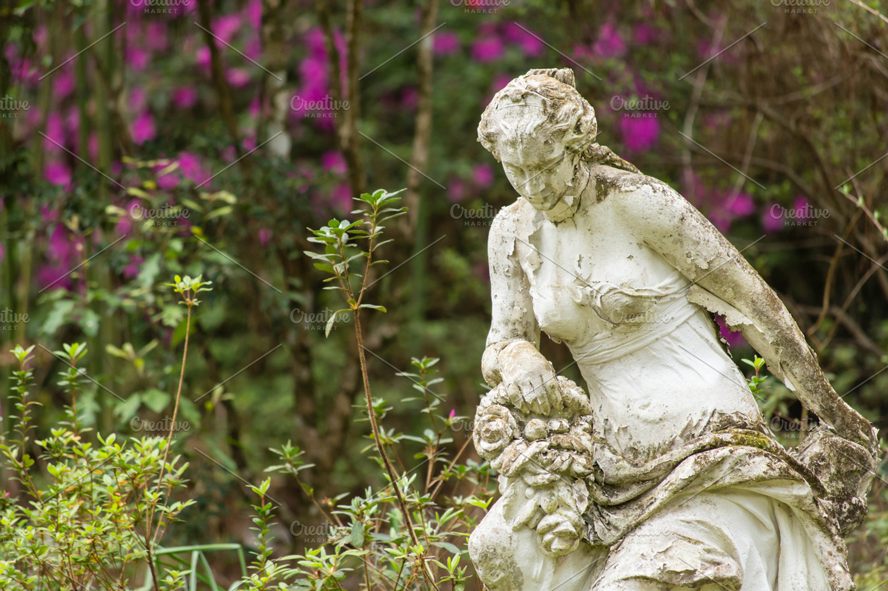 Female Statue in Garden, a Nature Photo by Tamara Lance
