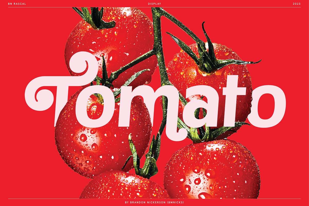 BN Rascal, a Sans Serif Font by Bnick (Photo 6 of 12)