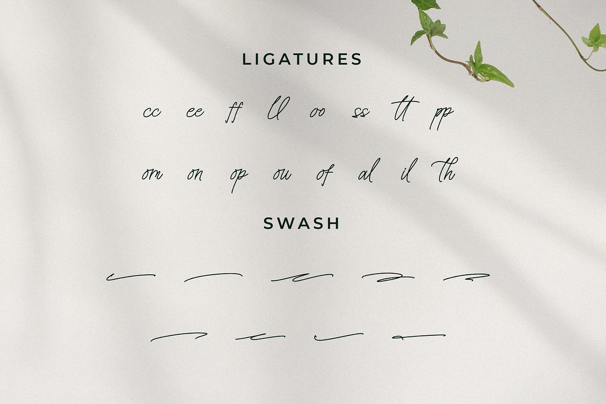 Senofeetha, a Script Font by Integritype Studio (Photo 11 of 15)