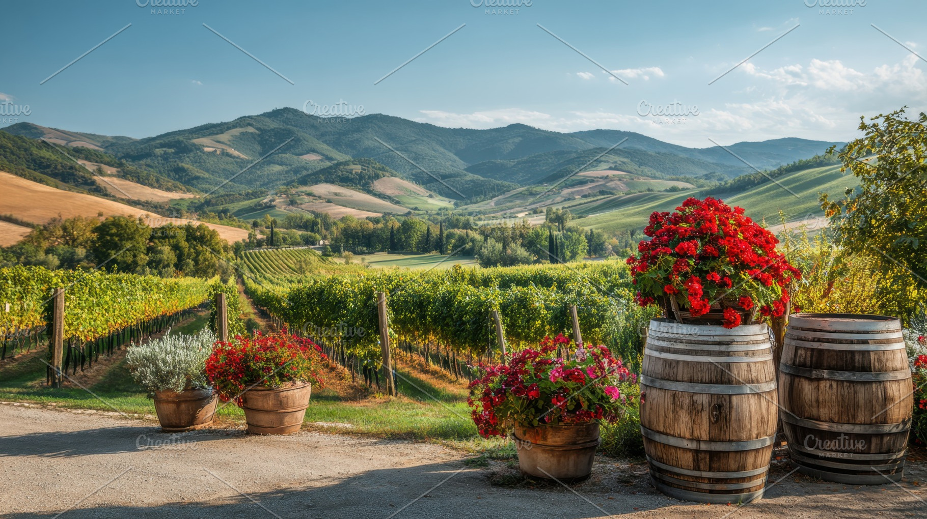 Vineyard view with flowers, a Photo by Beautiful things