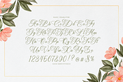 Harvintelis | Beauty Calligraphy, a Script Font by Denustudios (Thumbnail 10 of 12)