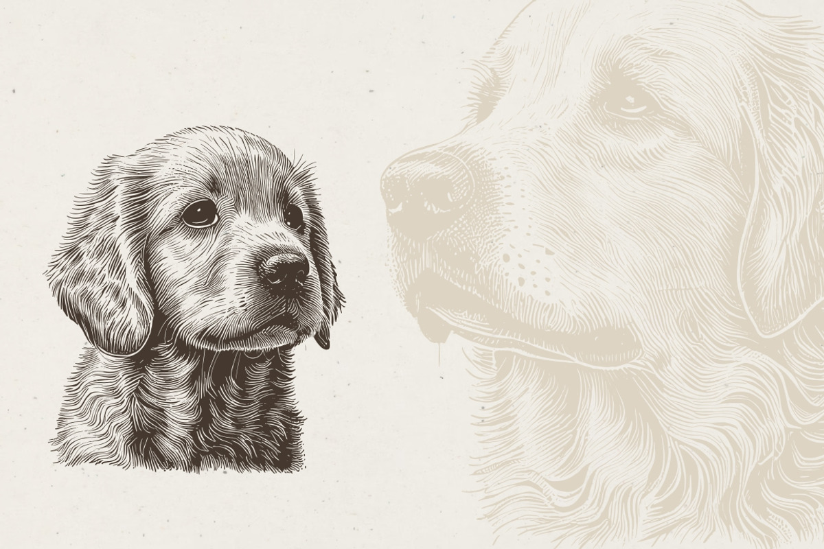 Dog Breeds Portrait Illustrations, an Animal Illustration by Nocturnal Wolf (Photo 5 of 12)