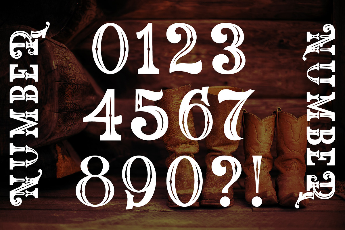 The Western Gold, a Serif Font by Burntilldead (Photo 8 of 11)
