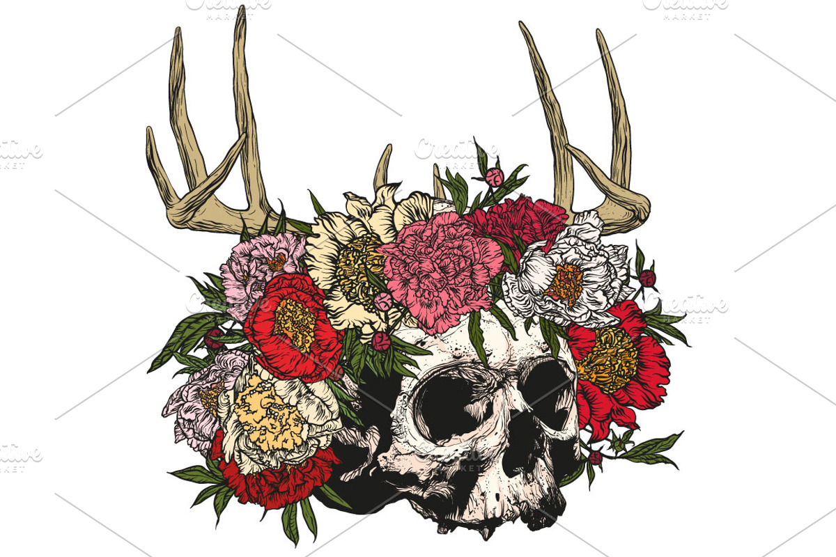Skull, an Object Graphic by ArtOwl (Photo 1 of 10)