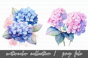 Hydrangea Flowers Watercolor Clipart, an Illustration by SindyPrintDesign (Thumbnail 2 of 4)