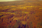 Autumn pack, a Templates & Theme by ApertureVintage (Thumbnail 4 of 4)
