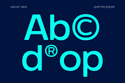 Molia - Sans Serif Font, a Sans Serif Font by limitype (Thumbnail 4 of 12)
