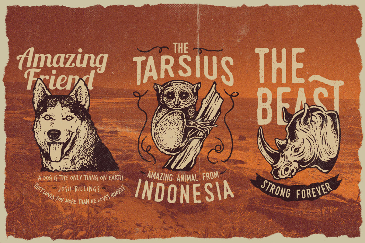 50 Vintage Animal Logo, a Branding & Logo Template by TSV Creative (Photo 7 of 10)