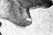 Lilliputian, a Texture Graphic by Jennifer Lauren Creative (Thumbnail 4 of 28)