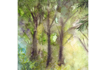 Watercolor tree foliage forest wood