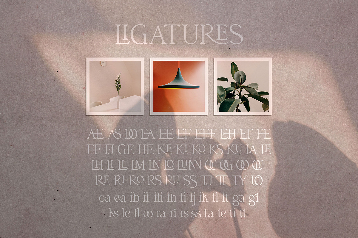 Billiers | Modern Ligature Typeface, a Serif Font by Almeera Std (Photo 12 of 12)