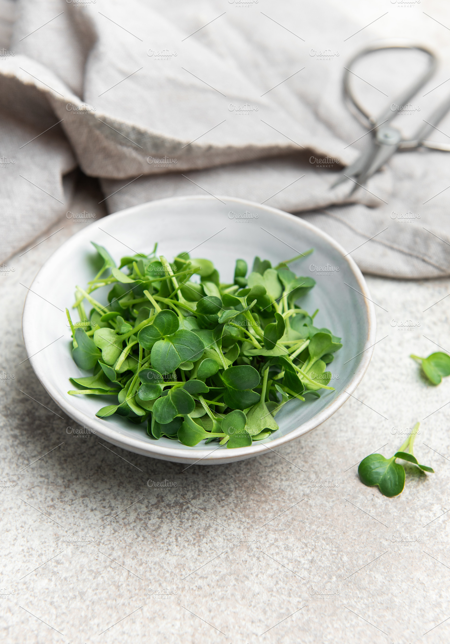 Fresh microgreens of tatsoi in a bowl, creating a healthy culina, a Food & Drink Photo by Olena Rudo