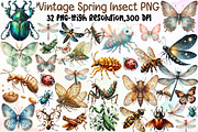 Vintage Spring Insect Clipart, an Illustration by Sublimation Artist (Thumbnail 1 of 6)
