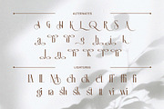 Helona - A New Modern Ligature Serif, a Serif Font by Almeera Std (Thumbnail 5 of 10)